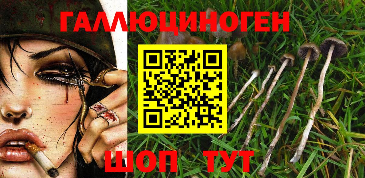 Псилоцибиновые грибы прущие грибы  Псилоцибиновые грибы Magic Shrooms  Вход с VPN  Златоуст 